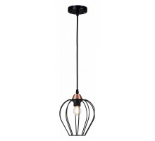 Подвесной светильник ILLUMICO  IL2001-1PA-05 BK ROSE GD