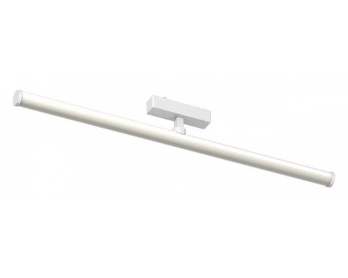 Светильник на штанге Aployt Magnetic track 48 APL.0121.10.20 Светильник на штанге Aployt Magnetic track 48 APL.0121.10.20