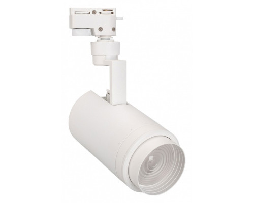 Светильник на штанге Arlight ZEUS 025928(1) Светильник на штанге Arlight ZEUS 025928(1)