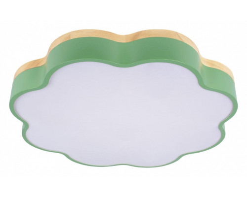 Накладной светильник Loft it Axel 10225/36 Green Накладной светильник Loft it Axel 10225/36 Green