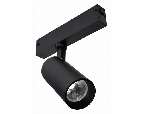 Светильник на штанге ST-Luce SKYLINE 220 ST660.446.10 Светильник на штанге ST-Luce SKYLINE 220 ST660.446.10