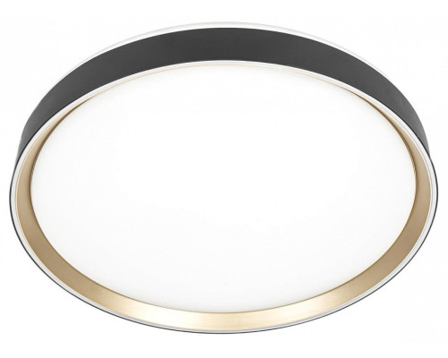 Накладной светильник Citilux BOSS CL751451G Накладной светильник Citilux BOSS CL751451G