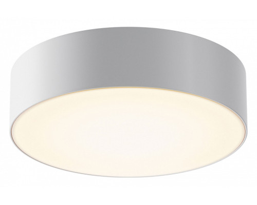 Накладной светильник Maytoni Zon IP O431CL-L30W3K Накладной светильник Maytoni Zon IP O431CL-L30W3K