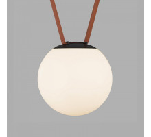 Накладной светильник Denkirs BELTY ORB DK5553-BK