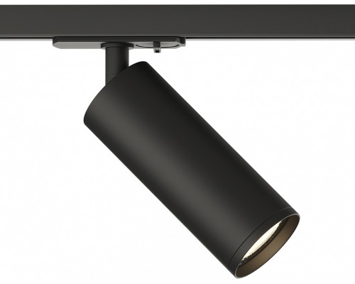 Светильник на штанге Denkirs DK620 DK6202-BK Светильник на штанге Denkirs DK620 DK6202-BK