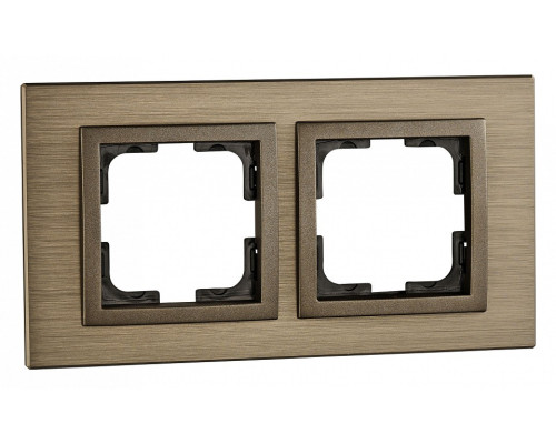 Рамка на 2 поста Mono Electric Style Aluminium 107-810000-161 Рамка на 2 поста Mono Electric Style Aluminium 107-810000-161