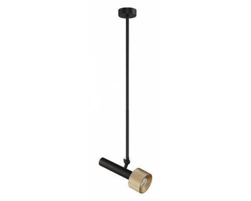 Светильник на штанге iLedex Technical Delta 2361-1 BK+BR
