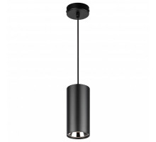 Подвесной светильник Эра  PL12 GX53 BK/SL
