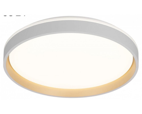 Накладной светильник Citilux ENZO CL753450G Накладной светильник Citilux ENZO CL753450G