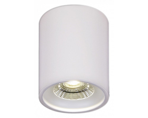 Накладной светильник 81117 81117-9.5-001RT LED10W WT Накладной светильник 81117 81117-9.5-001RT LED10W WT