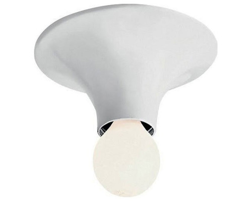 Накладной светильник Artemide A048120 Накладной светильник Artemide A048120