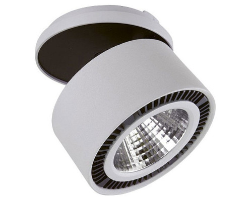 Спот Lightstar Forte Inca 213849 Спот Lightstar Forte Inca 213849