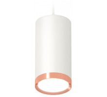Подвесной светильник Ambrella Light XP XP8161014