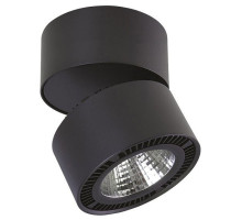 Спот Lightstar Forte Muro 214857