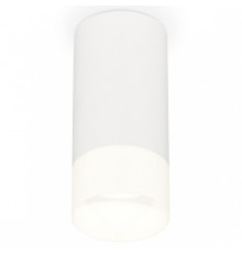 Накладной светильник Ambrella Light XS XS8161003