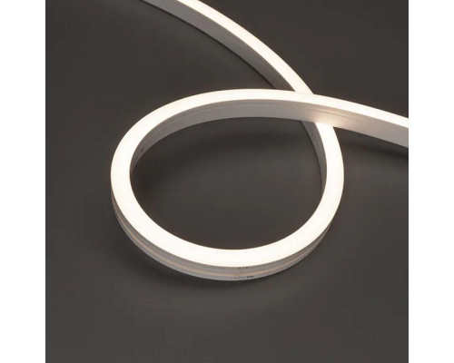 Шнур световой Arlight MOONLIGHT-SIDE-A140-12x17mm 045546 Шнур световой Arlight MOONLIGHT-SIDE-A140-12x17mm 045546