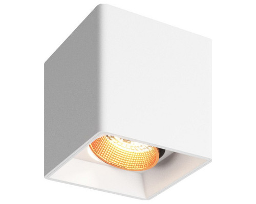 Накладной светильник Denkirs DK3030 DK3080-WBR
