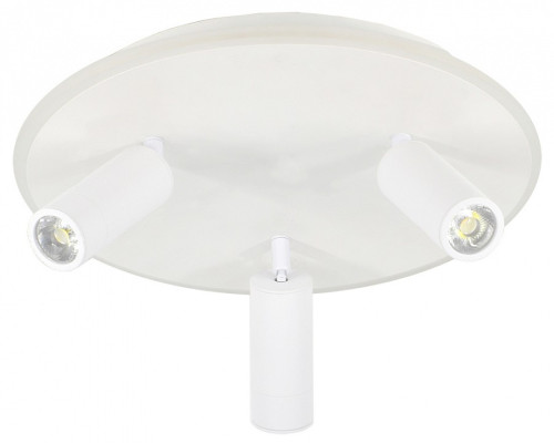 Светильник на штанге Escada 20046LED 20046SMA/03LED WH Светильник на штанге Escada 20046LED 20046SMA/03LED WH