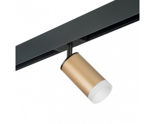 Светильник на штанге Lightstar Rullo PRO44030 Светильник на штанге Lightstar Rullo PRO44030