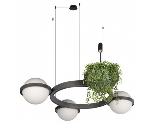 Подвесная люстра Loft it Jardin 10121/3 Dark grey Подвесная люстра Loft it Jardin 10121/3 Dark grey