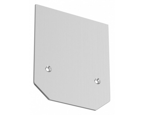 Заглушка для трека Maytoni Accessories for tracks TRA004MPEC-21S Заглушка для трека Maytoni Accessories for tracks TRA004MPEC-21S