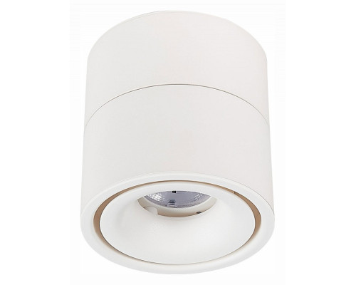 Светильник на штанге ST-Luce ST652 ST652.532.12 Светильник на штанге ST-Luce ST652 ST652.532.12