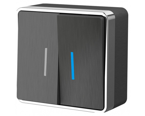 Выключатель двухклавишный с подсветкой Werkel Gallant (графит рифленый) W5020104 Выключатель двухклавишный с подсветкой Werkel Gallant (графит рифленый) W5020104
