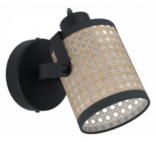 Спот Eglo ПРОМО Ruscomb 43493