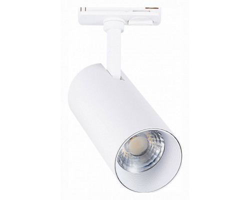 Светильник на штанге ST-Luce Mono ST350.536.20.36 Светильник на штанге ST-Luce Mono ST350.536.20.36