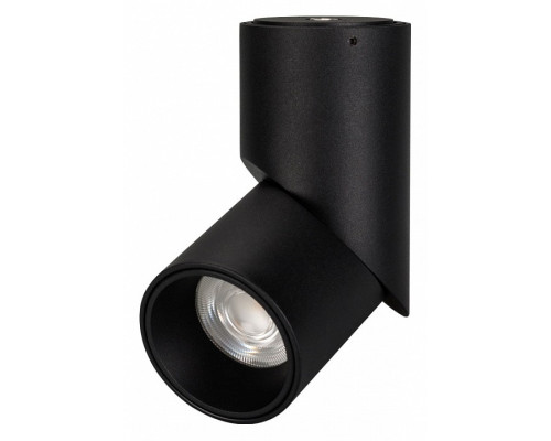 Светильник на штанге Arlight TWIST 025456(1) Светильник на штанге Arlight TWIST 025456(1)