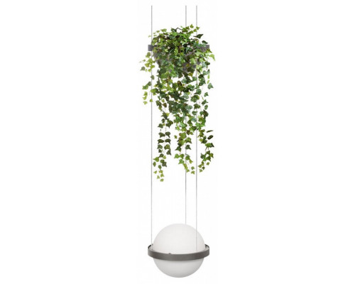 Подвесной светильник Loft it Jardin 10121/1P Dark grey Подвесной светильник Loft it Jardin 10121/1P Dark grey