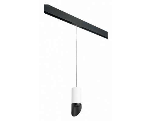 Подвесной светильник Lightstar Rullo PRORP43637 Подвесной светильник Lightstar Rullo PRORP43637