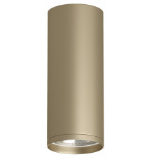 Накладной светильник Denkirs TUBE DK2051-SG