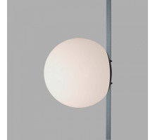 Накладной светильник Denkirs BELTY ORB DK5550-BK