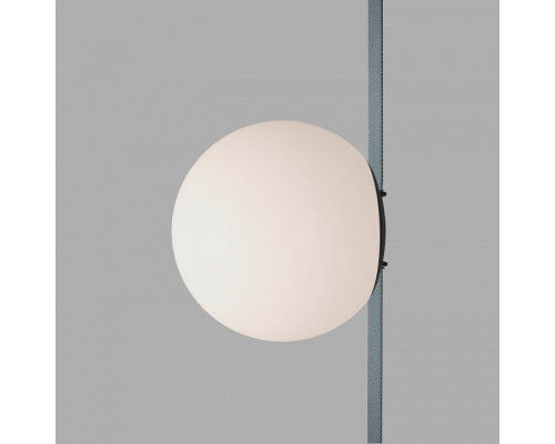 Накладной светильник Denkirs BELTY ORB DK5550-BK Накладной светильник Denkirs BELTY ORB DK5550-BK