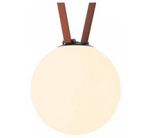 Накладной светильник Denkirs Belty Orb DK5555-BK