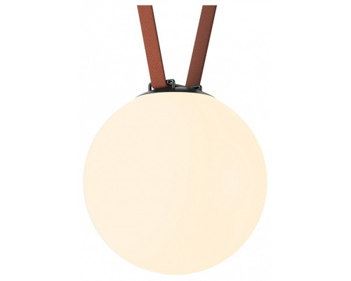 Накладной светильник Denkirs Belty Orb DK5555-BK Накладной светильник Denkirs Belty Orb DK5555-BK