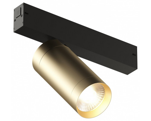 Светильник на штанге Denkirs Smart DK8020-BG Светильник на штанге Denkirs Smart DK8020-BG