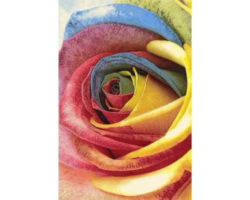 Ковер интерьерный (200x300 см) Hunnu Ковер интерьерный (200x300 см) Hunnu