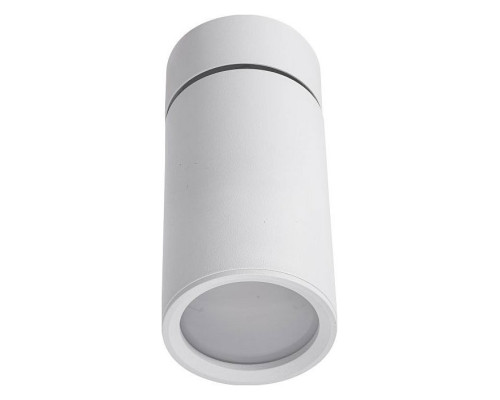 Накладной светильник Lucia Tucci Longo Longo LTP-C007-01GU10-W Накладной светильник Lucia Tucci Longo Longo LTP-C007-01GU10-W