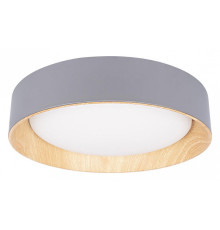 Накладной светильник Loft it Coin 10202 Grey
