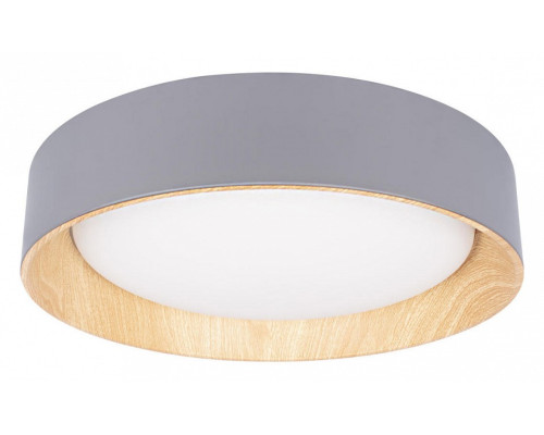 Накладной светильник Loft it Coin 10202 Grey Накладной светильник Loft it Coin 10202 Grey