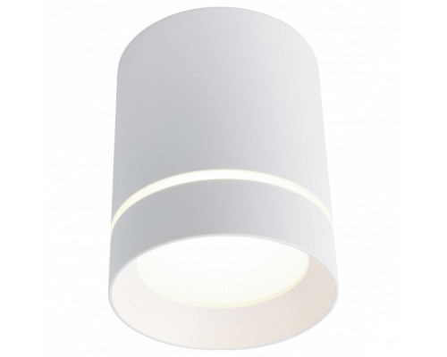 Накладной светильник Arte Lamp Elle A1909PL-1WH Накладной светильник Arte Lamp Elle A1909PL-1WH