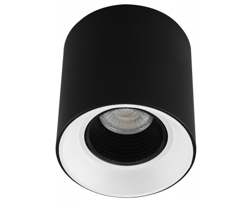 Накладной светильник Denkirs Rodvig DK3090-BW+BK Накладной светильник Denkirs Rodvig DK3090-BW+BK