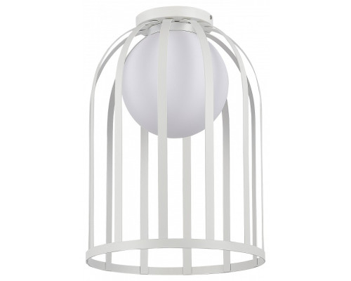 Накладной светильник ST-Luce Nordic SL6129.502.01 Накладной светильник ST-Luce Nordic SL6129.502.01
