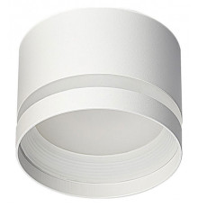 Накладной светильник Citilux Hardy CL002C10