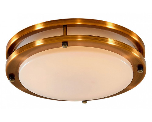 Накладной светильник Citilux Бостон CL709203N Накладной светильник Citilux Бостон CL709203N