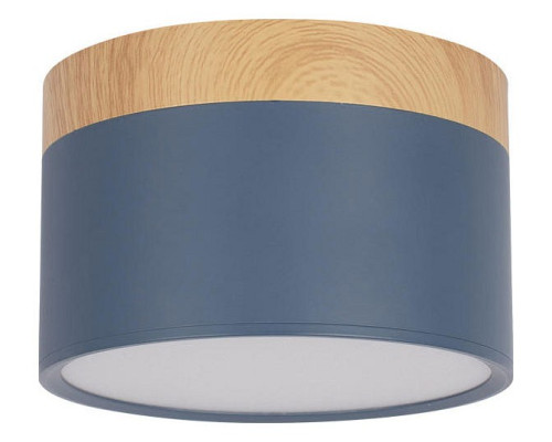 Накладной светильник Loft it Grape 10162 Blue Накладной светильник Loft it Grape 10162 Blue