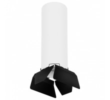 Накладной светильник Lightstar Rullo R6496487