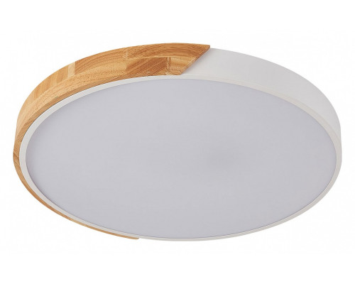 Накладной светильник Natali Kovaltseva Scandinavian LED LAMPS 81182 Накладной светильник Natali Kovaltseva Scandinavian LED LAMPS 81182